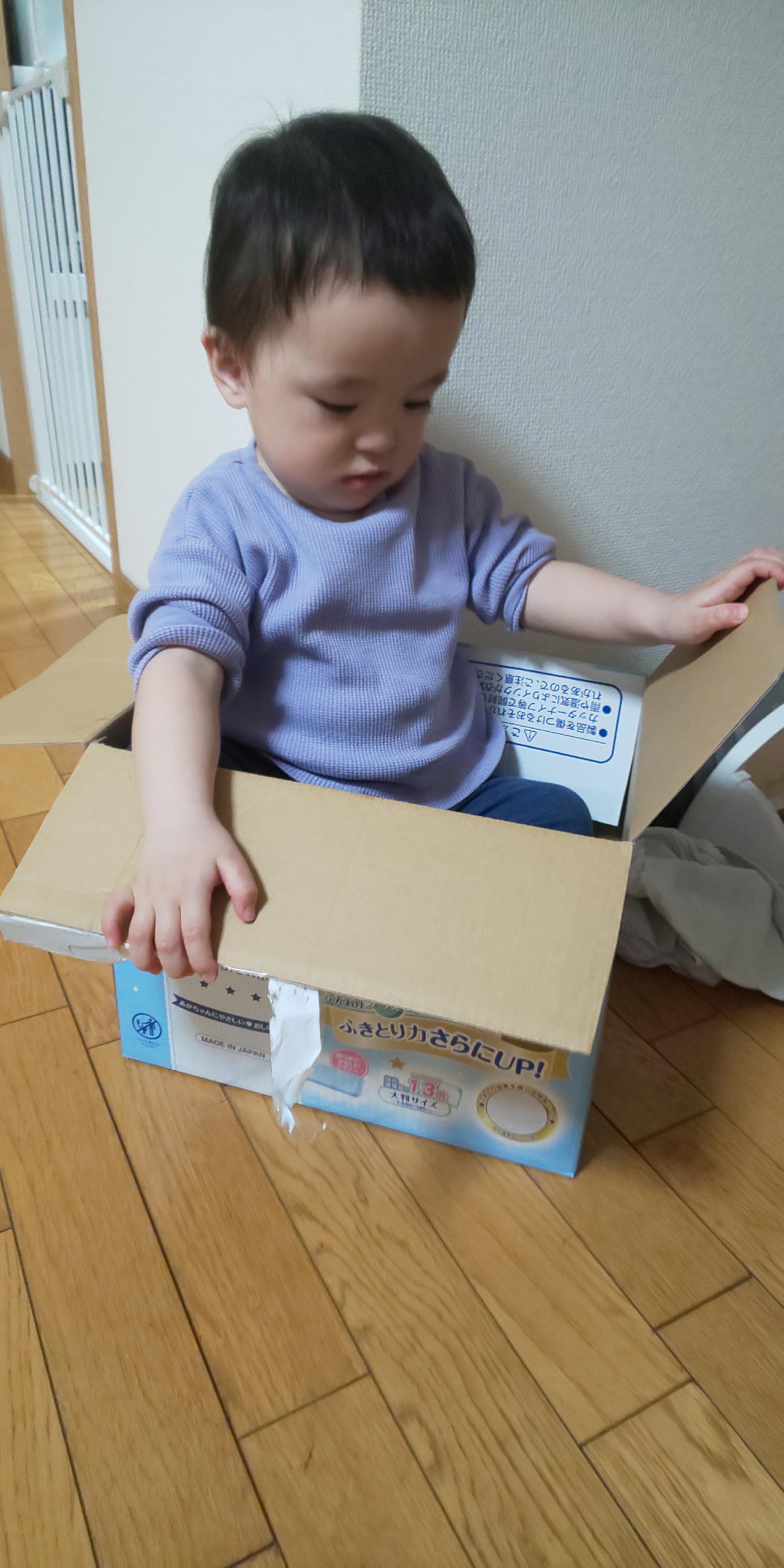 箱入り息子