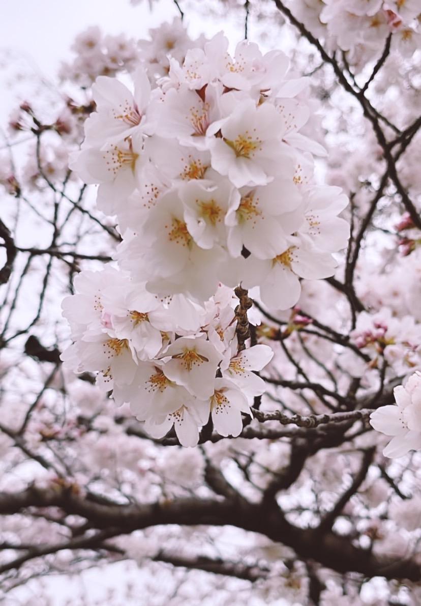 薄着の季節