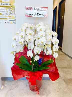 祝🎉１周年！！